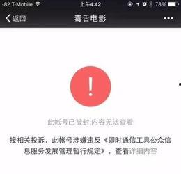 吃瓜群众娱乐账号是什么,揭秘娱乐圈幕后故事