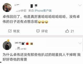 微博兔兔吃瓜娱乐肖宇梁,肖宇梁微博互动引热议